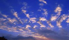 预测天气变化的谚语