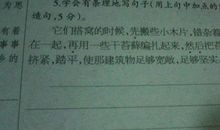 先然后造句大全