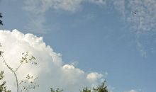 描写晴天心情的句子