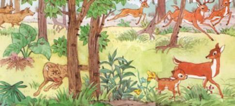 关于鹿和狼的寓言