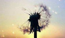 人生虽有遗憾，但失去也是成长