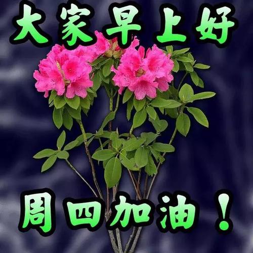 美丽的祝福句