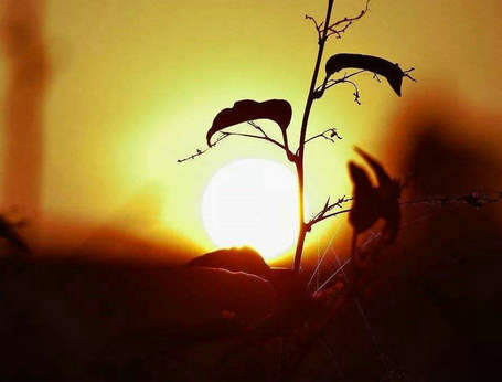 虽然生活中有遗憾，但损失也是增长1