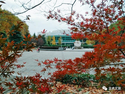 关于冬季风的寓言