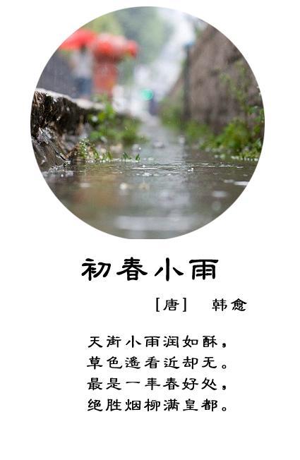 写春雨诗