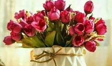 祝福的句子大全