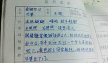 读书笔记加好词好句