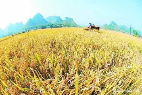 伟大的夏季农业谚语