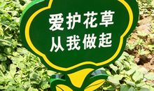 关于爱护花草的名言