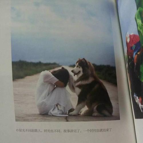 大兵经典行情怎么样