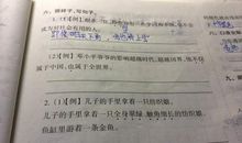 不仅也造句子大全