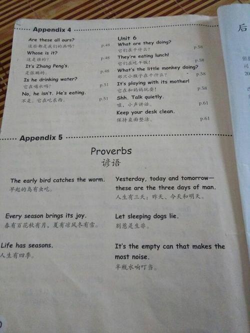 英语句子五年级