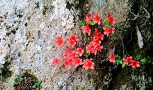 四月最后一个周末的短信祝福