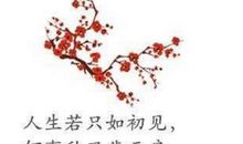 冬季伤感的诗句