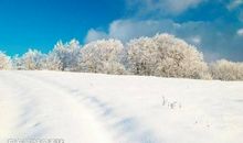 关于预示晴天的谚语