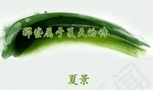 描写蝉的句子