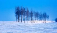 大雪有关的谚语