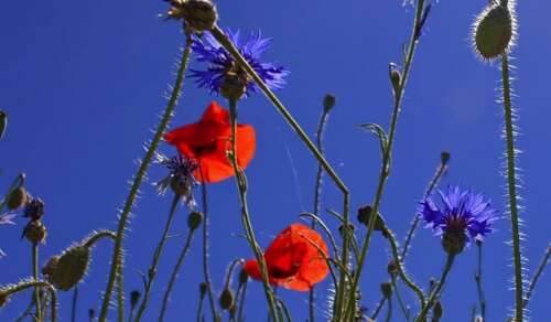 简短的安慰和悲伤