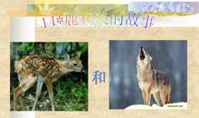 关于狼与鹿的歇后语