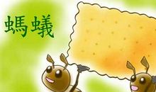 形容团结力量大的谚语