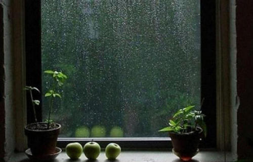 谈论雨天的朋友圈