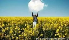 表达感情专一的诗句