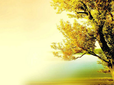 青春逝去的句子很美【精选19句】