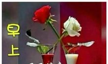 新年暖心祝福语