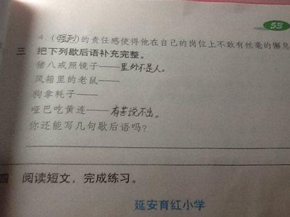 狗和老鼠的寓言