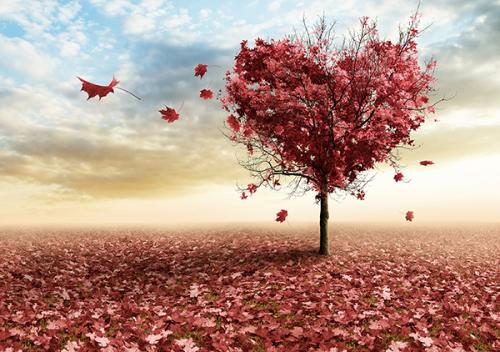 最美丽的现代爱情诗