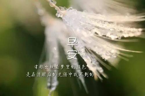 漂亮的句子形容周末