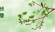 与惊蛰有关谚语