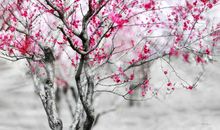 有关腊梅的歇后语