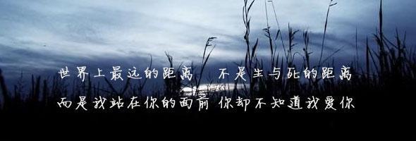 我男朋友结婚了