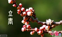 立春祝福语大全