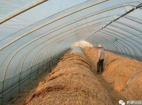 关于小涵的农业谚语