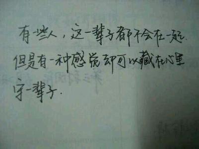 我不会打扰你的