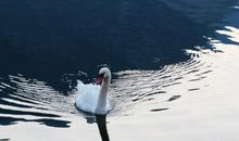 比喻句平静的湖面