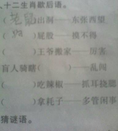 猪的十二生肖寓言