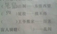 猪的生肖歇后语