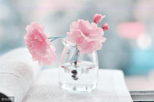 2019最新旅行美句