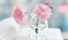 2019最新旅游唯美句子