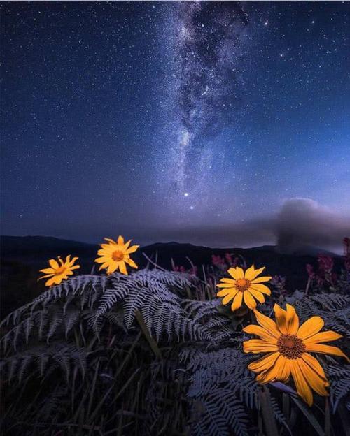 句子中没有单词