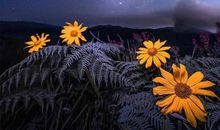 不言不语造句大全