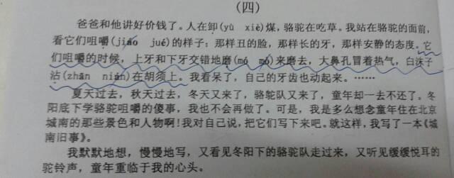 和平是一个平行的句子