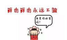 不由分说造句大全