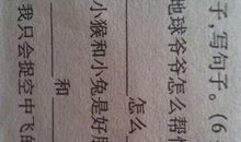 如果是造句大全