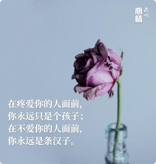 适合在朋友圈中发送温暖的句子