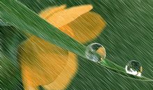 细雨绵绵的唯美句子、心情说说及图片