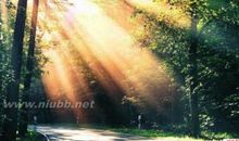 让心情好起来的句子